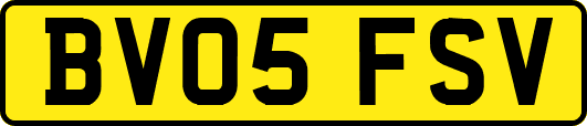 BV05FSV