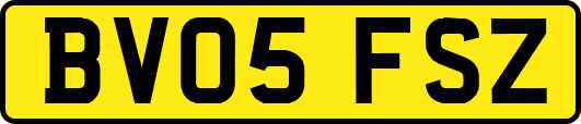 BV05FSZ