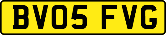 BV05FVG