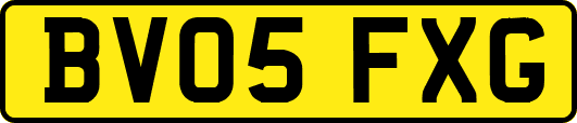 BV05FXG