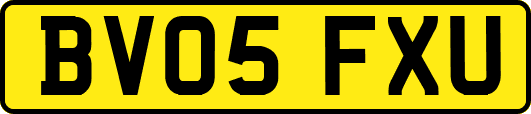 BV05FXU