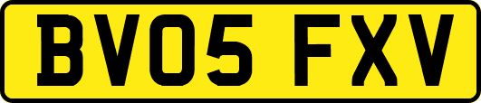 BV05FXV
