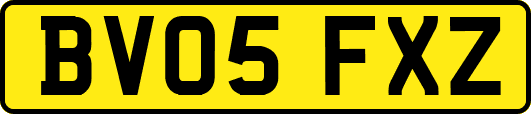 BV05FXZ
