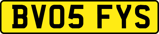BV05FYS
