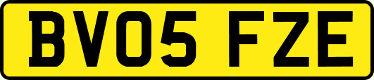 BV05FZE