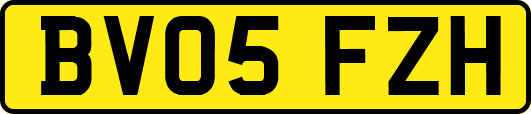 BV05FZH