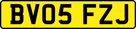 BV05FZJ