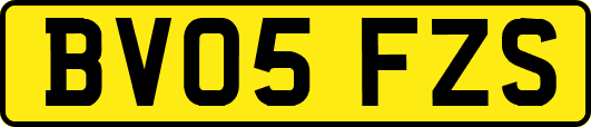 BV05FZS