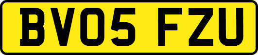 BV05FZU