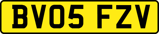 BV05FZV