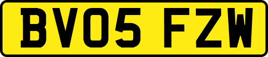 BV05FZW