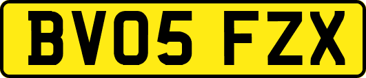 BV05FZX