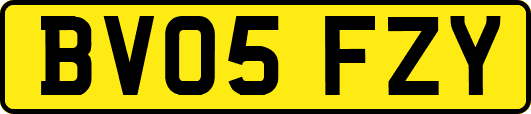 BV05FZY