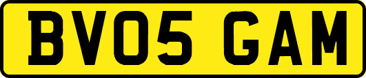 BV05GAM