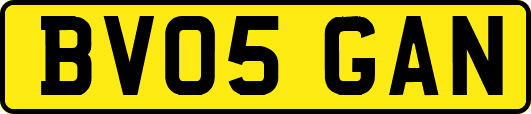 BV05GAN