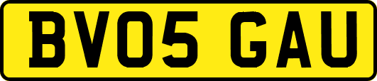BV05GAU