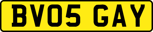 BV05GAY