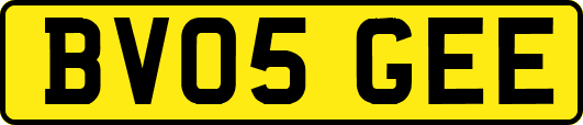 BV05GEE