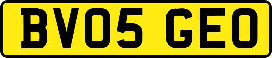 BV05GEO