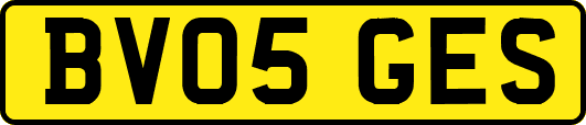 BV05GES