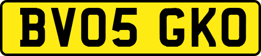 BV05GKO
