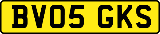 BV05GKS