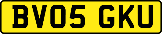 BV05GKU