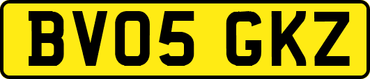 BV05GKZ