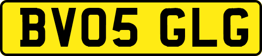 BV05GLG