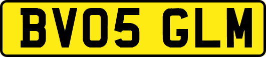 BV05GLM