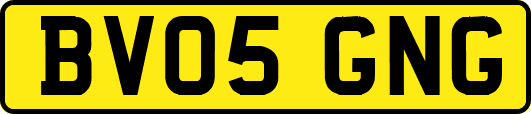 BV05GNG