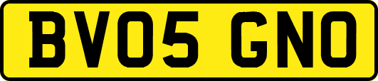 BV05GNO