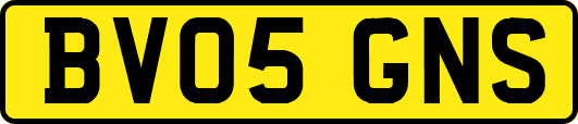 BV05GNS