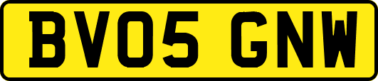 BV05GNW