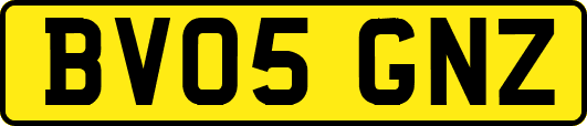 BV05GNZ