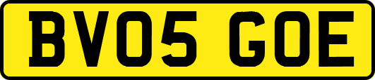 BV05GOE