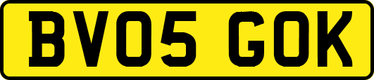 BV05GOK