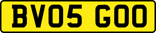 BV05GOO
