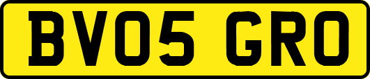 BV05GRO
