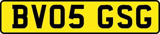 BV05GSG