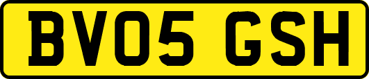 BV05GSH