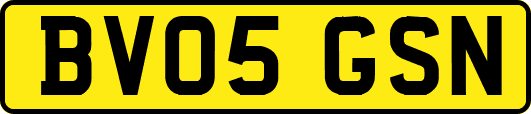 BV05GSN