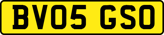 BV05GSO