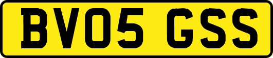 BV05GSS