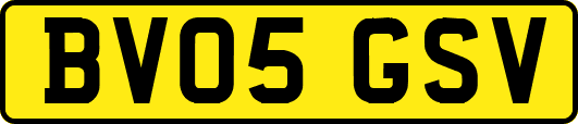 BV05GSV