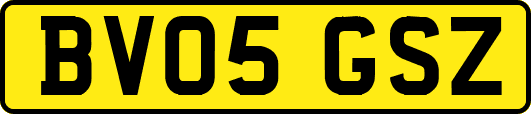 BV05GSZ