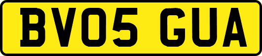 BV05GUA