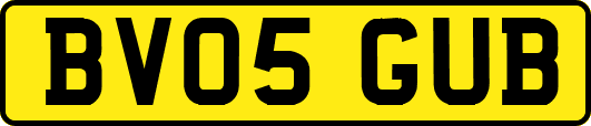 BV05GUB