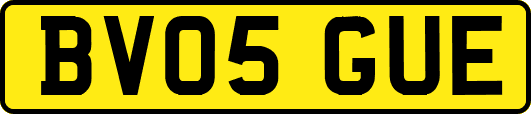 BV05GUE