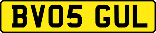 BV05GUL